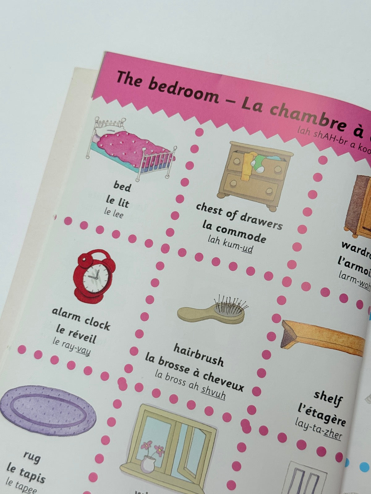 Catherine Bruzzone French-English Picture Dictionary