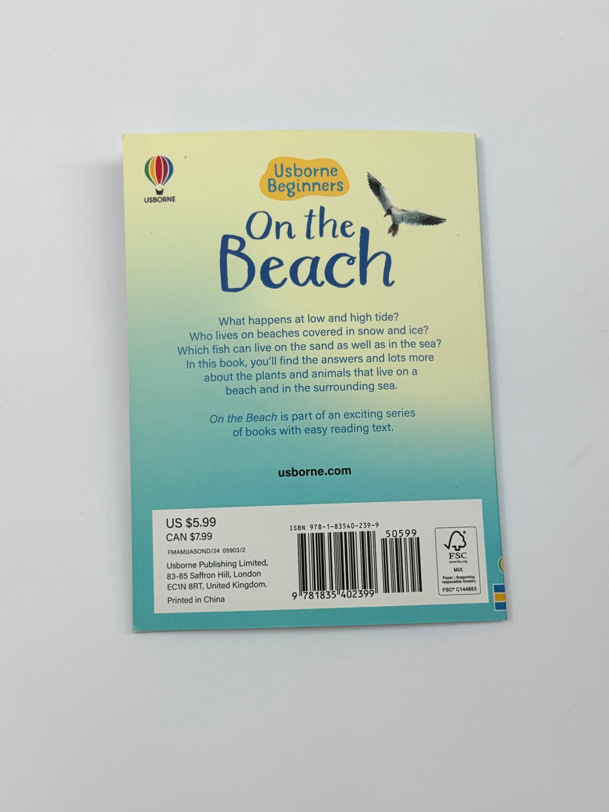 Emily Bone On the Beach Usborne Beginners