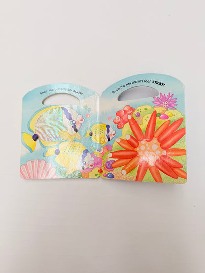 Ellie Crowe Seashore Touch-n-See Hawaii
