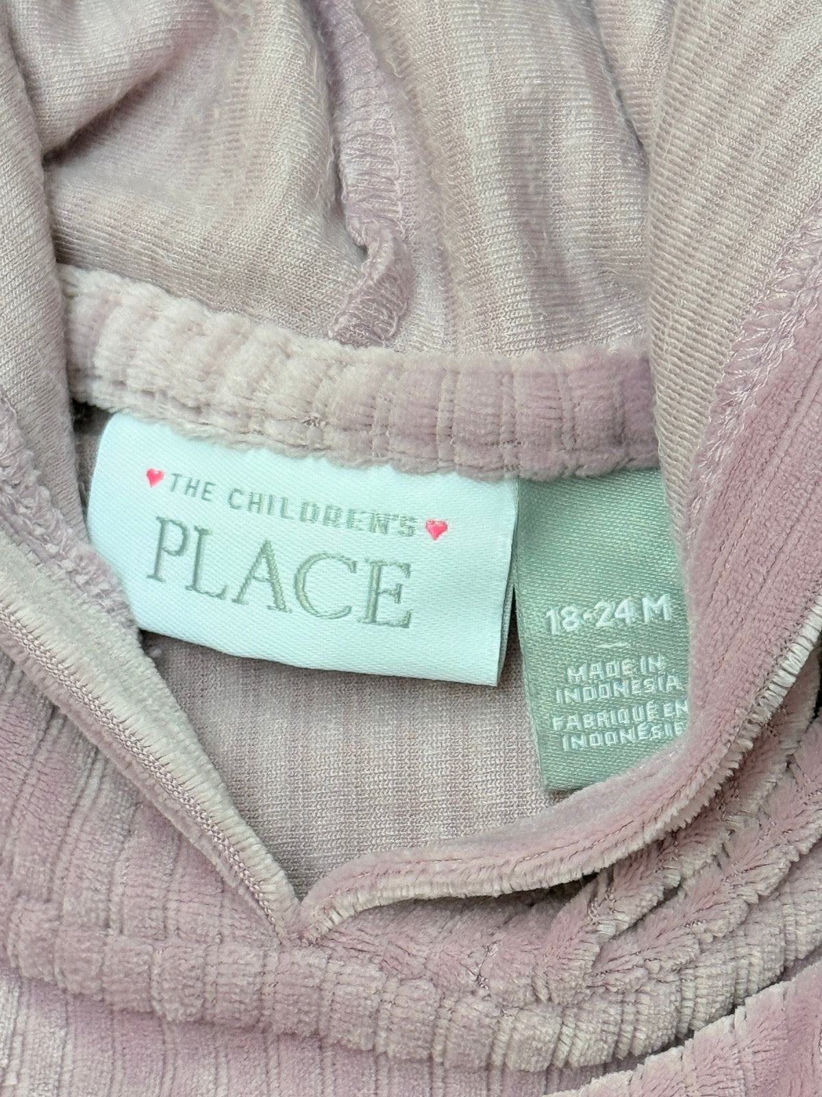 Children's Place Mauve Velour Hoodie Set 18-24M