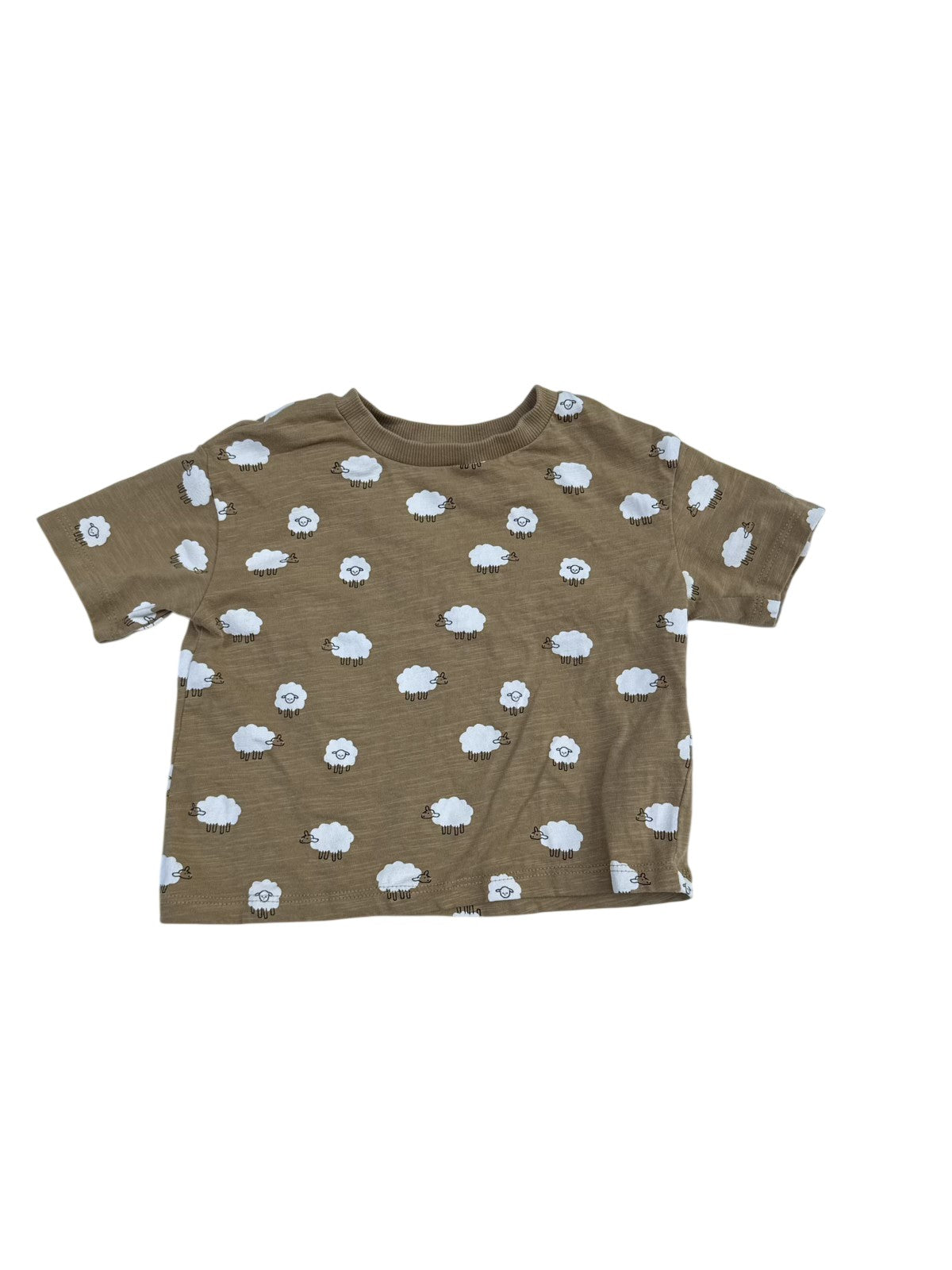 M&S Sheep Print T-Shirt 12-18m