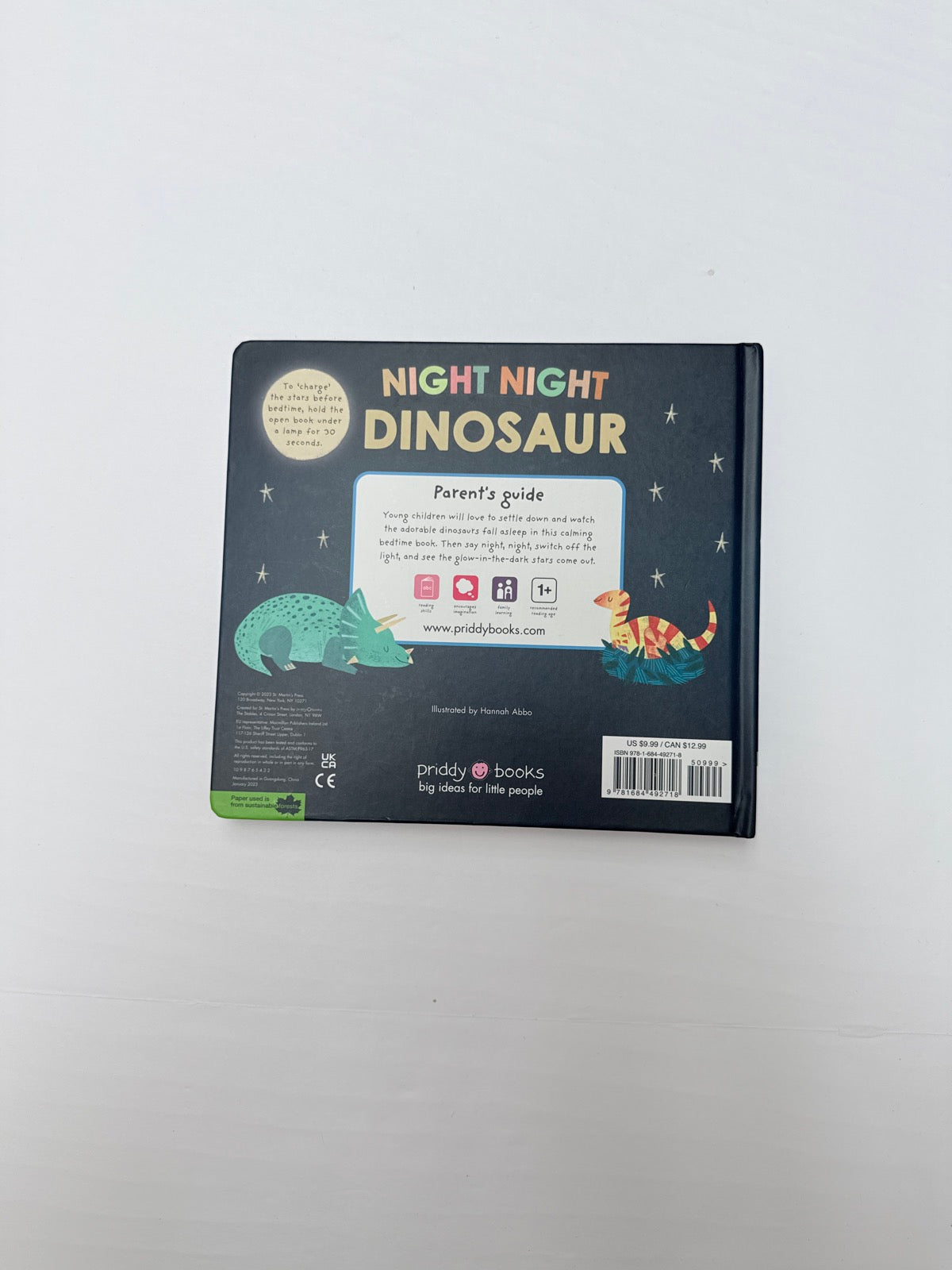 Night Night Dinosaur Glow in the Dark Book