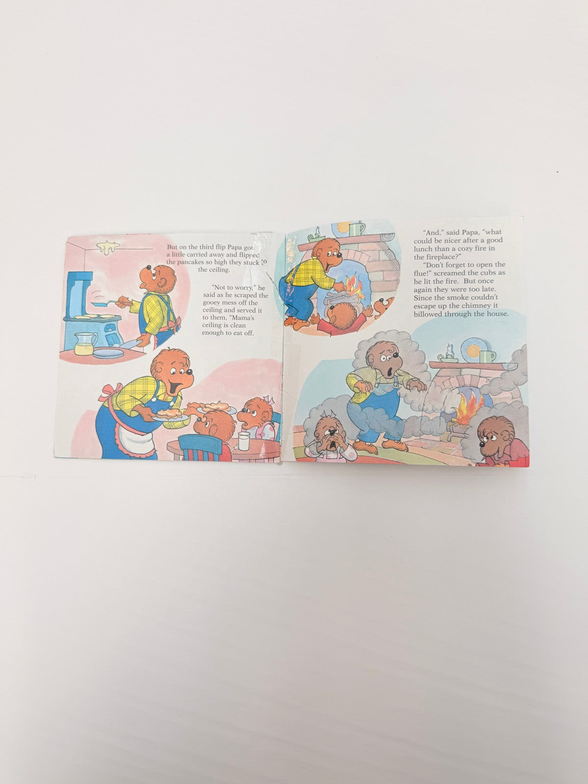 Stan & Jan Berenstain Life with Papa