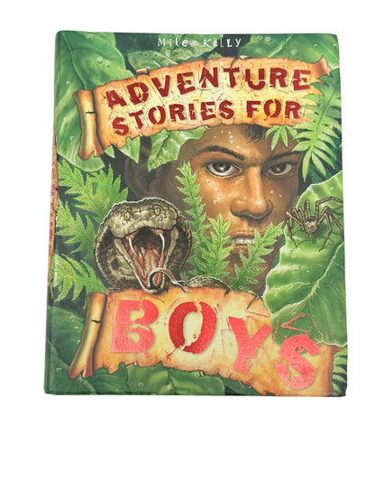 Adventure Stories for Boys