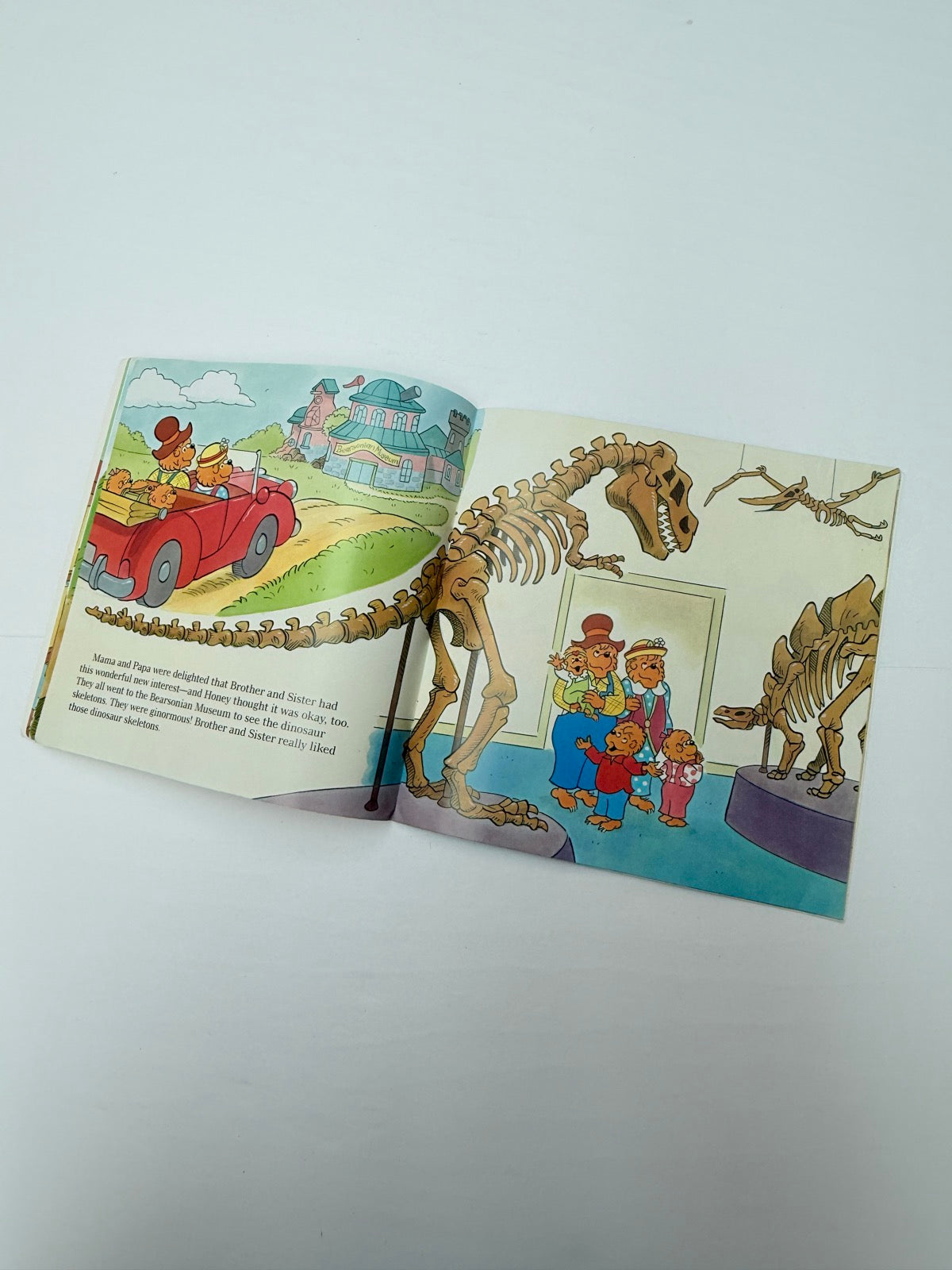Jan & Mike Berenstain Dinosaur Dig