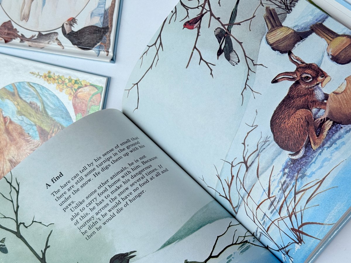 3 Animal World Books Bundle