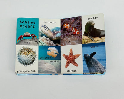First 100 Animals Priddy Books Board Book