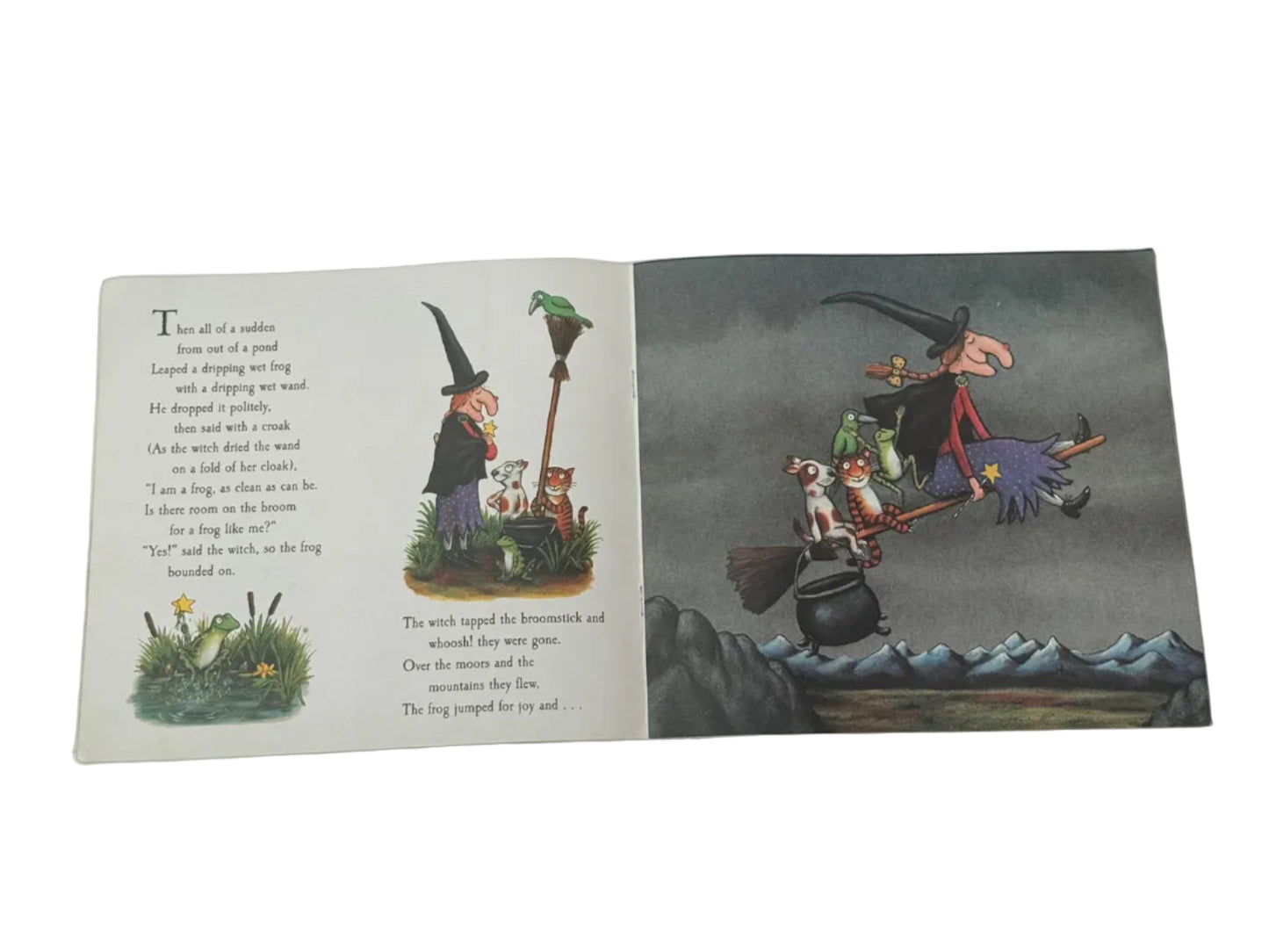 Julia Donaldson Room on the Broom