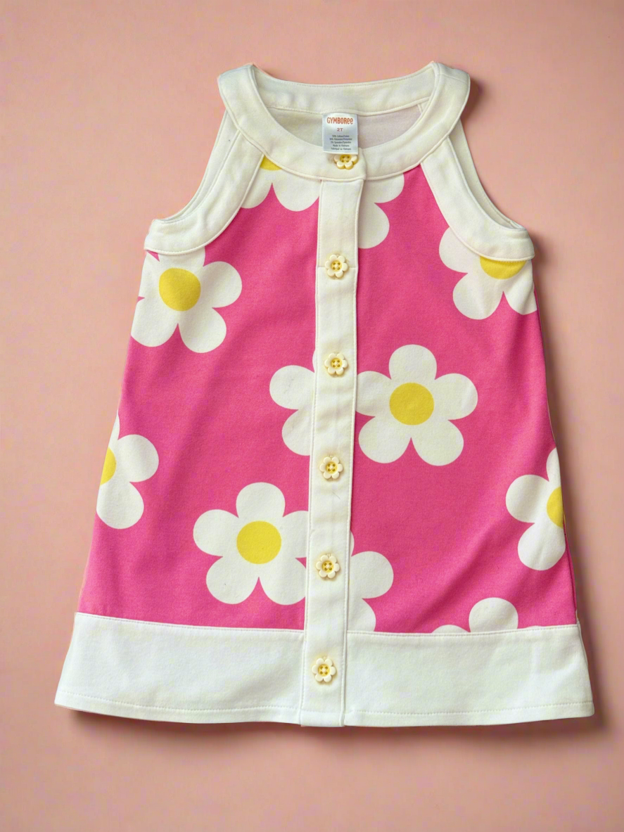 Gymboree 2t Dress