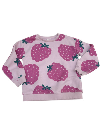 Hard to Find -Zara Raspberry Print Sweatshirt Size 5-6Y