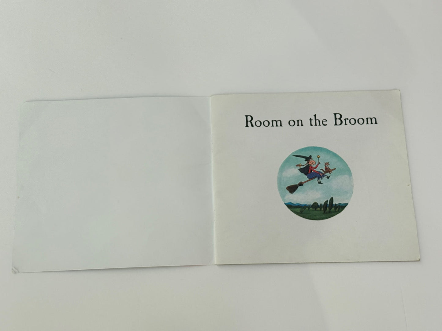 Julia Donaldson Room on the Broom
