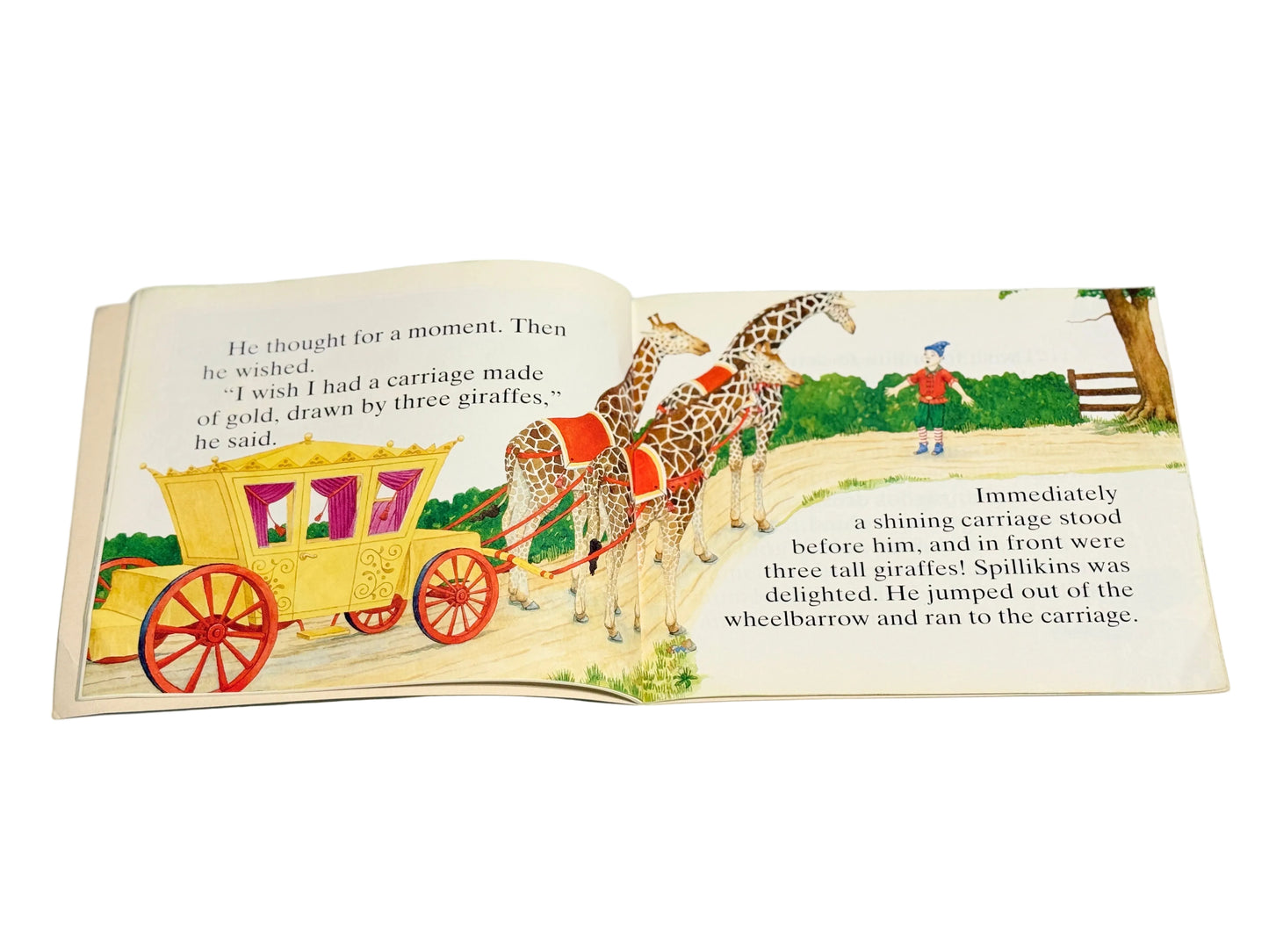 The Wishing Hat - Book