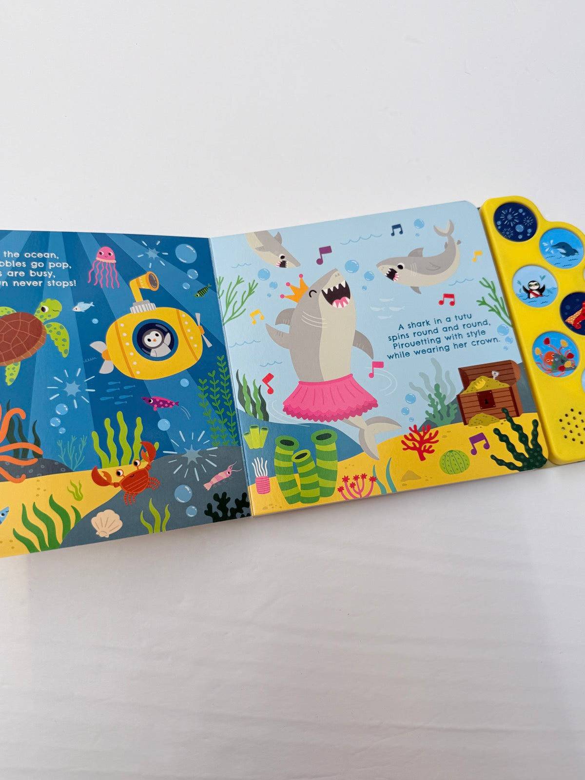 What Do Animals Do All Day In The Ocean?