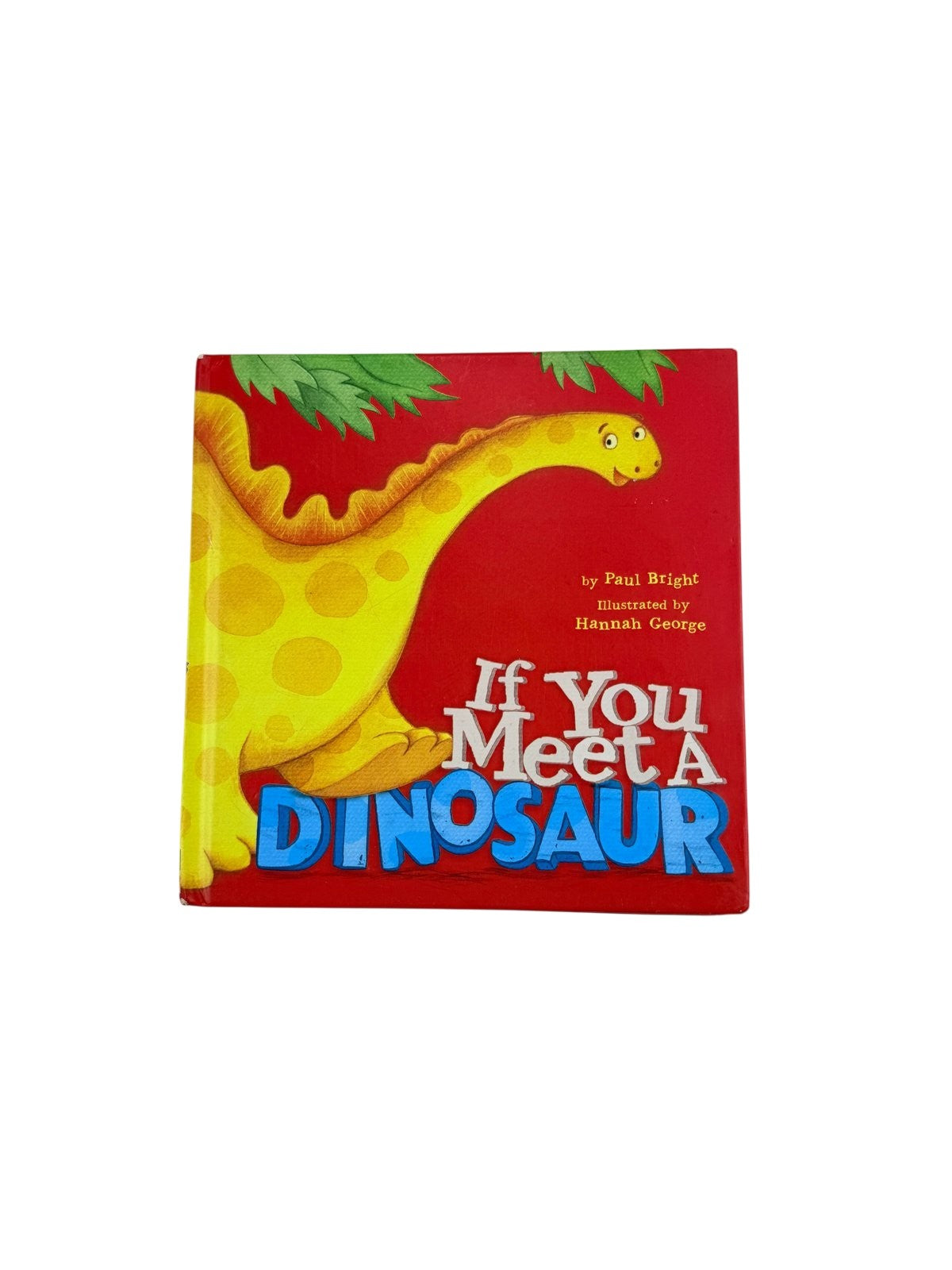 Paul Bright If You Meet A Dinosaur