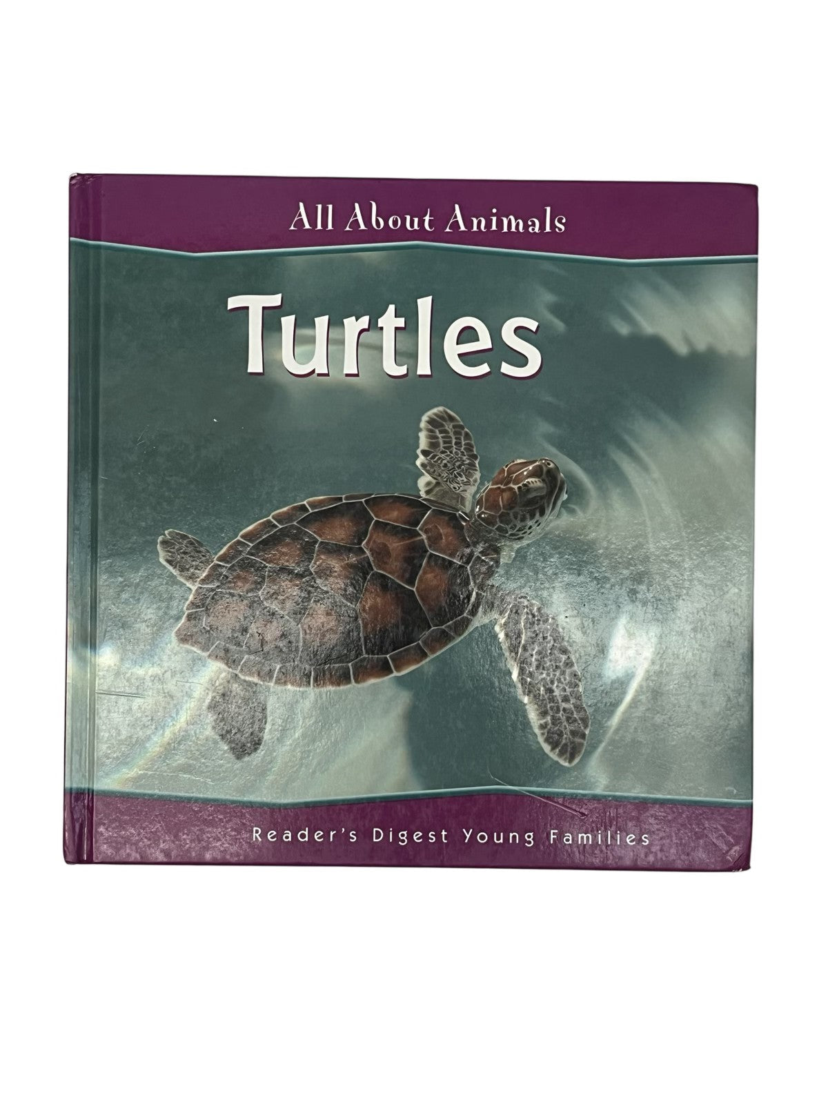 Turtles - All About Animals