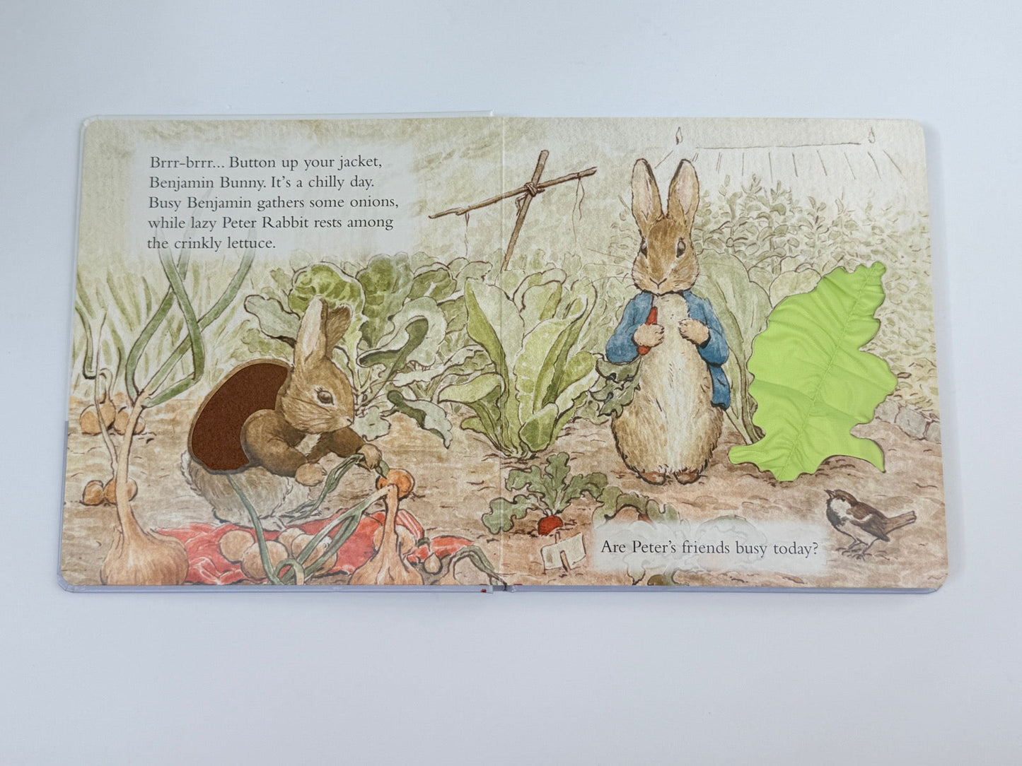 Beatrix Potter Peter Rabbit Touch and Feel