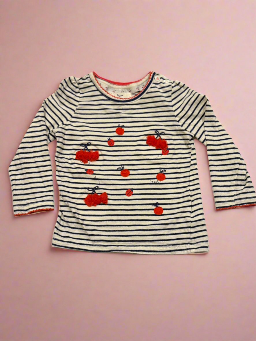 Sweet cherry 9-12m