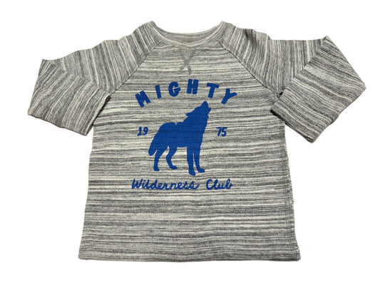 Joe Fresh 3T Wolf Sweater