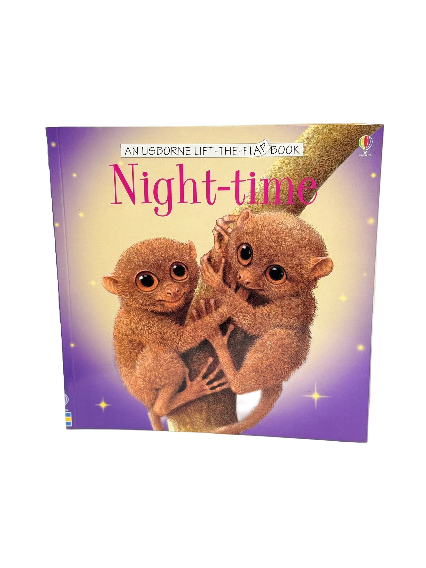 NIght-Time Lift the Flap Book