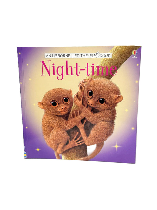 NIght-Time Lift the Flap Book