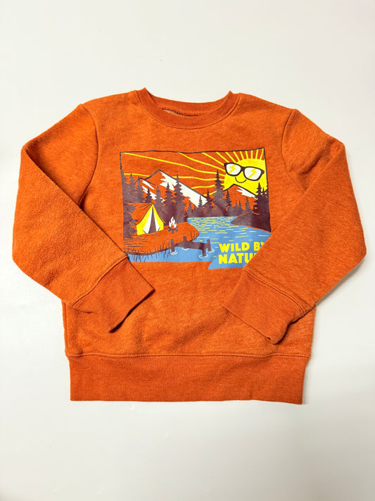 Jumping Beans Sweater 4T