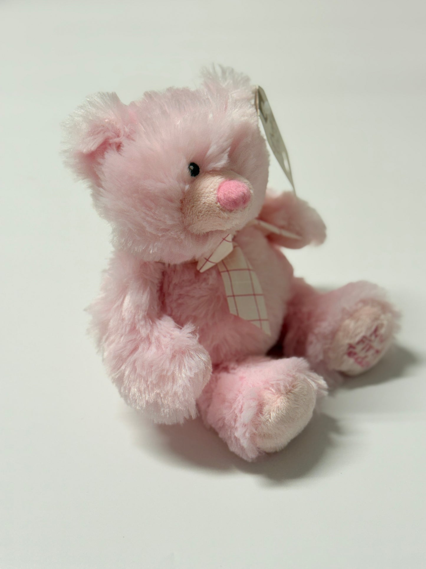 GANZ- My First Teddy NWT