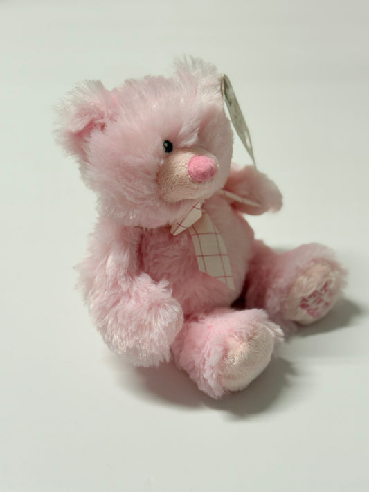 GANZ- My First Teddy NWT