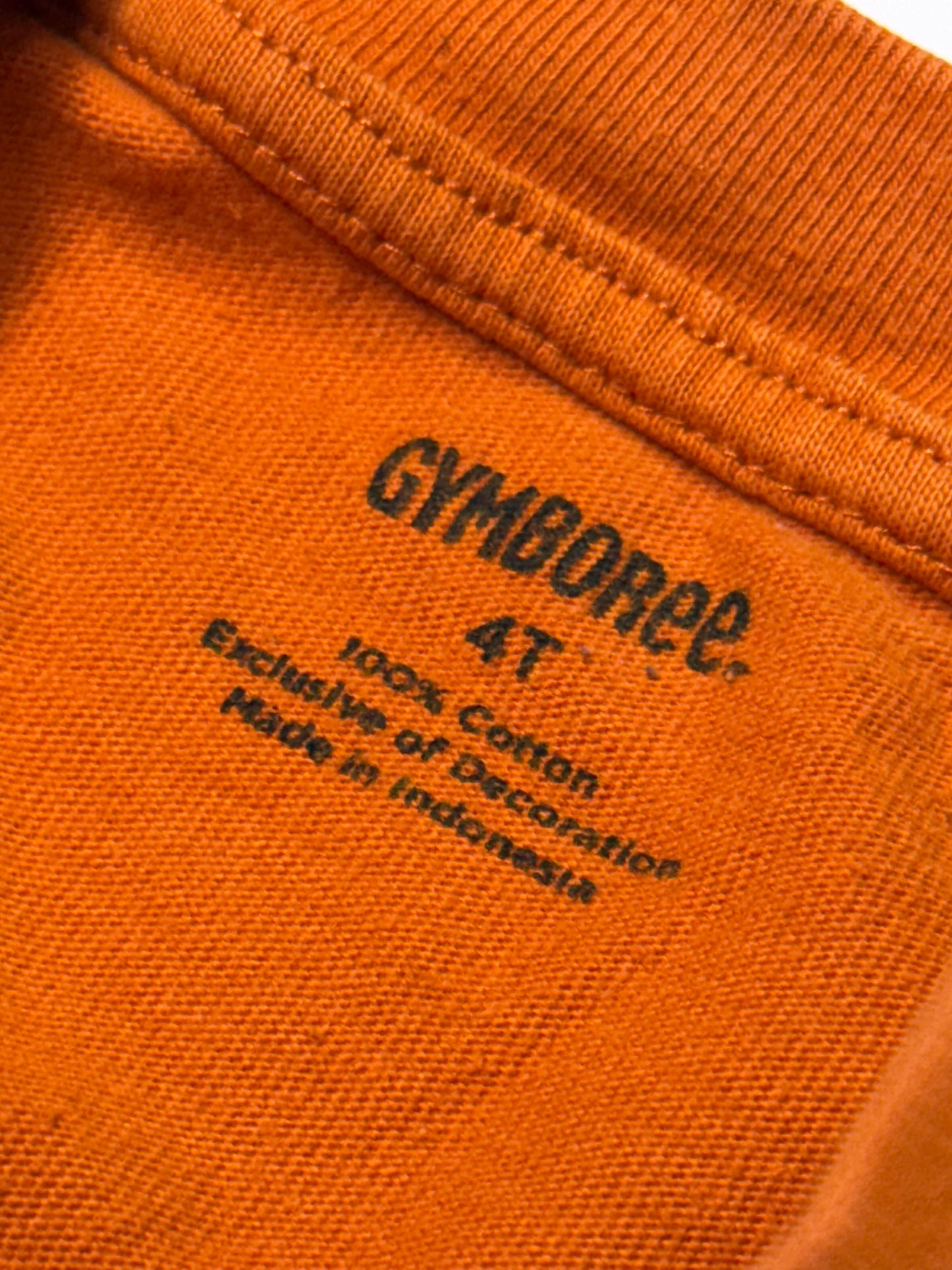 Gymboree Skull Shirt 4t