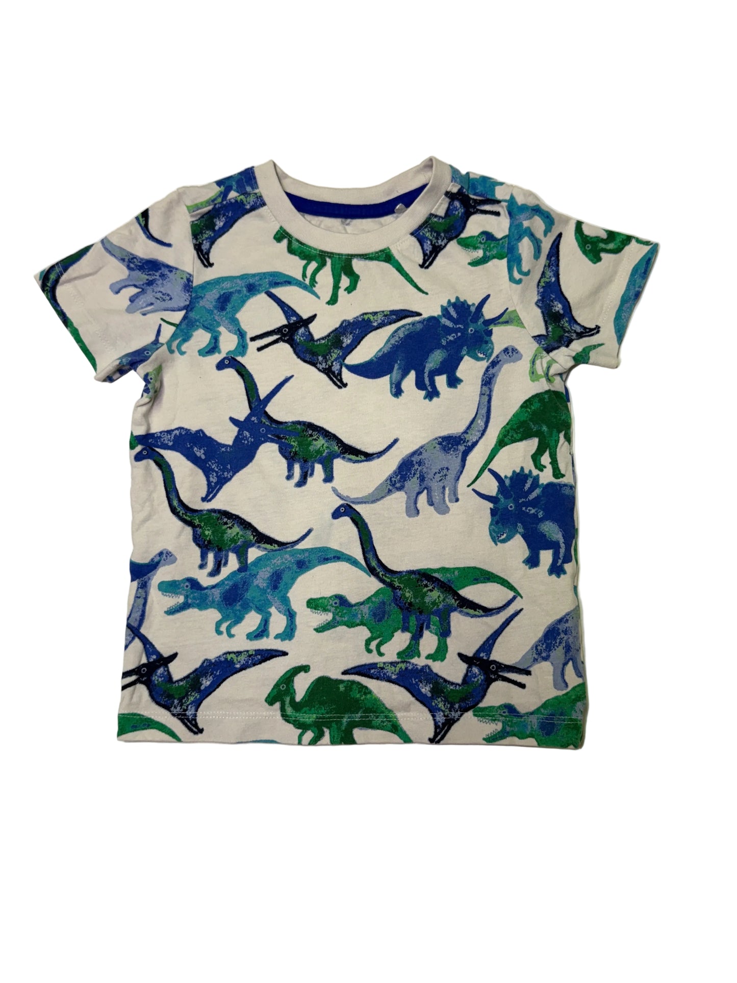 Nutmeg Dinosaur Shirt 2-3Y