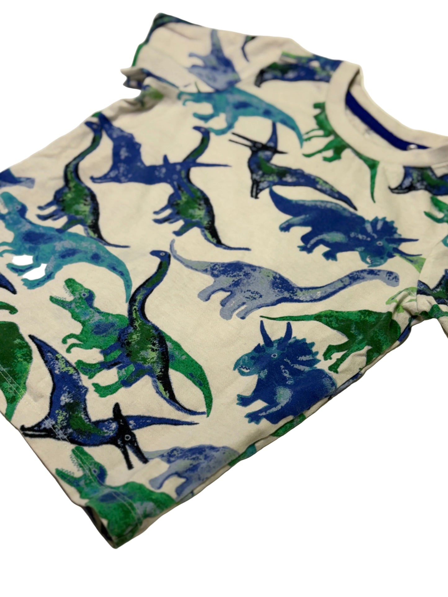Nutmeg Dinosaur Shirt 2-3Y