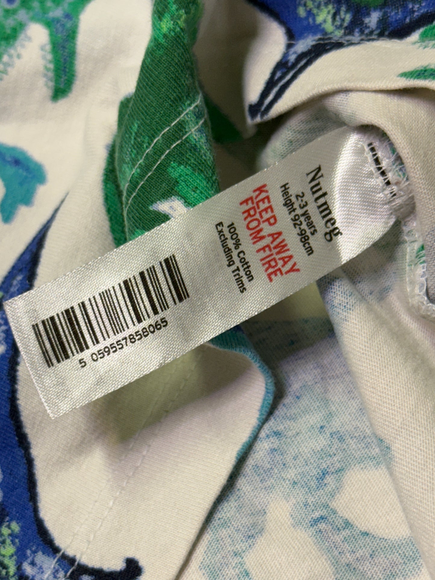 Nutmeg Dinosaur Shirt 2-3Y