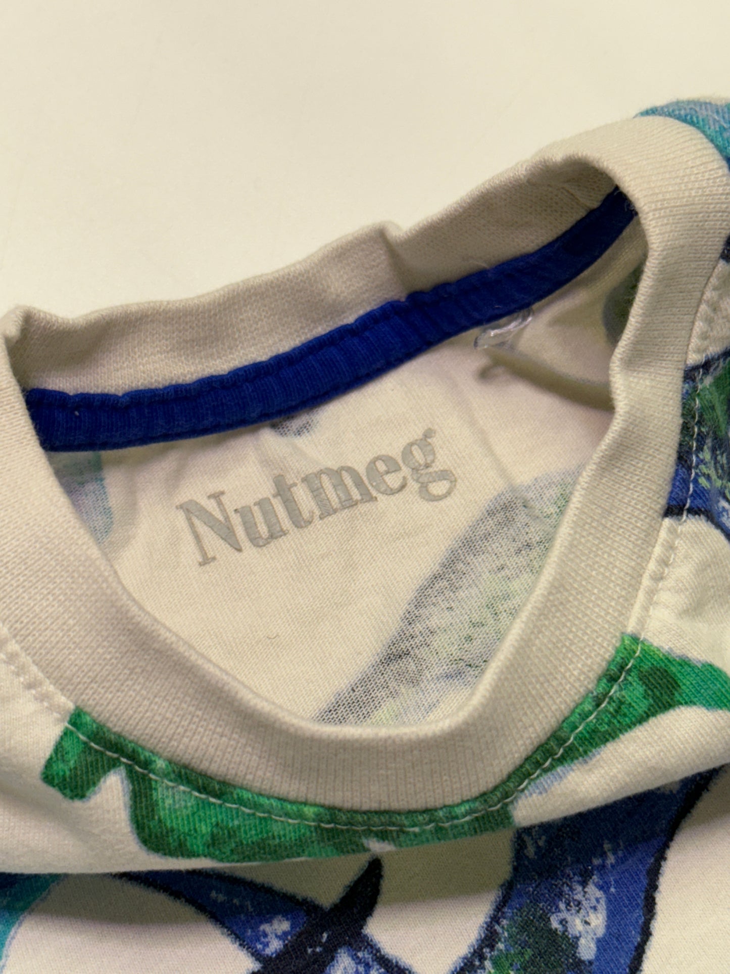 Nutmeg Dinosaur Shirt 2-3Y