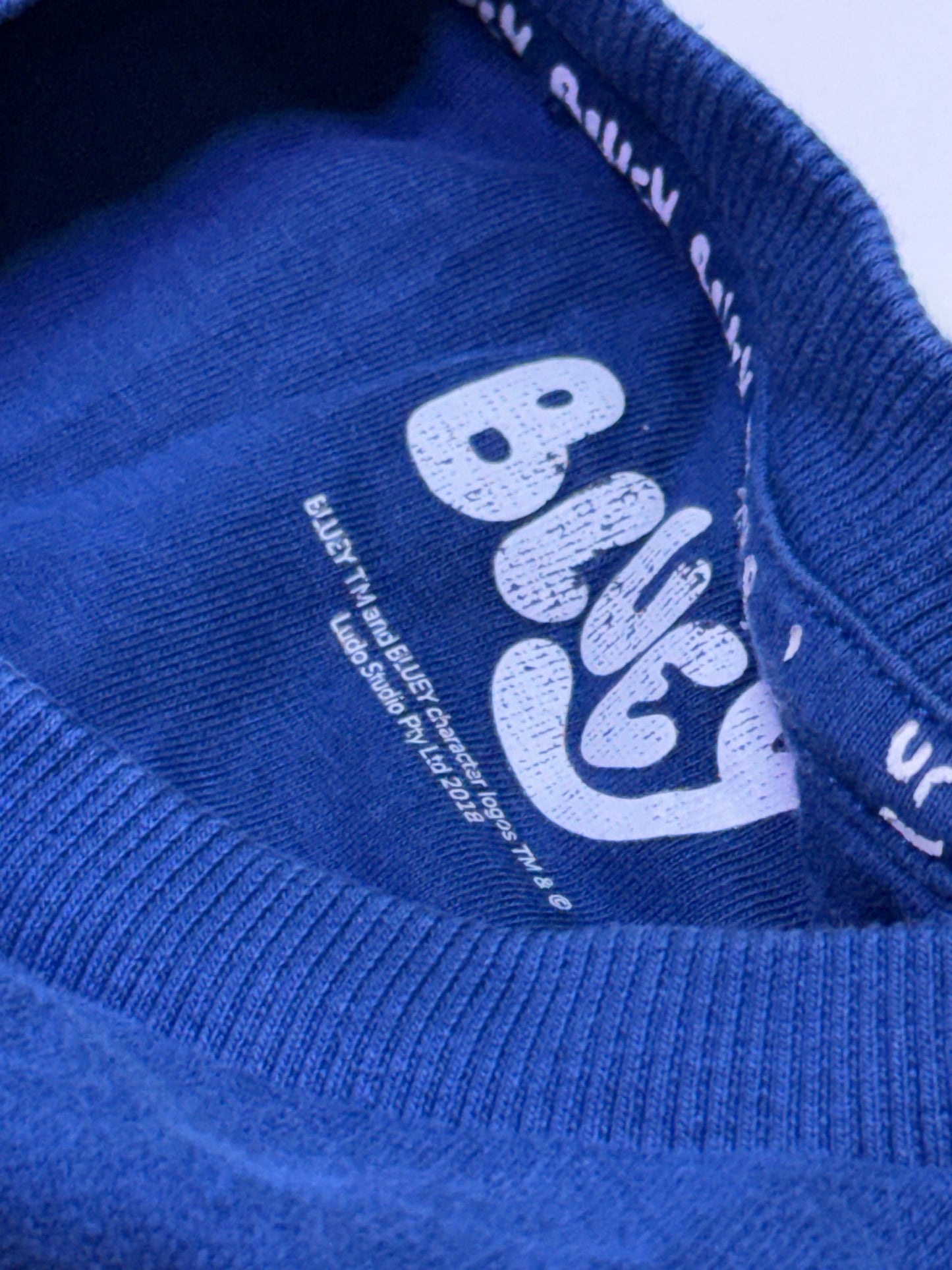 Bluey 5-6Y Crewneck