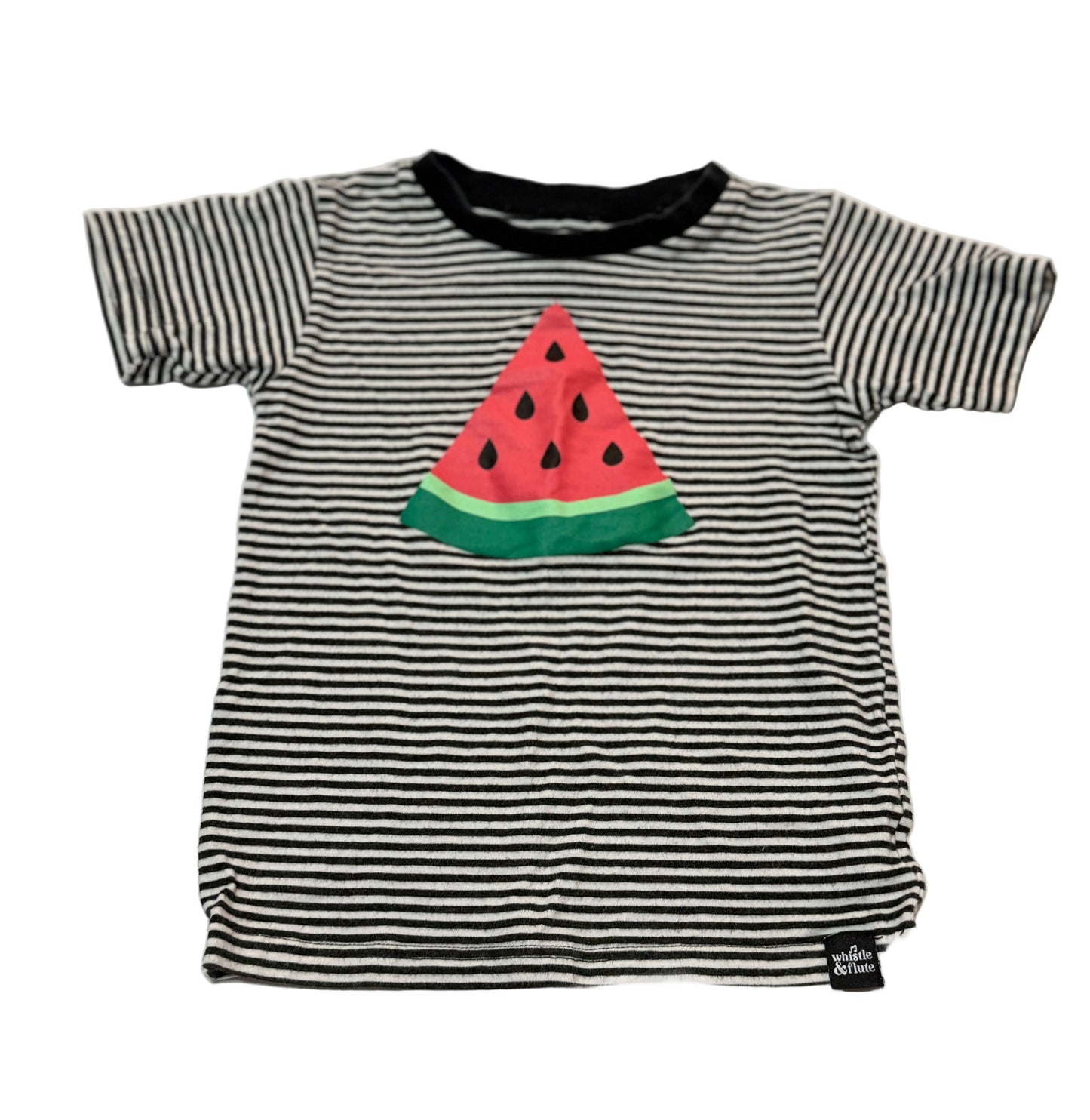 Whistle & Flute 5-6y