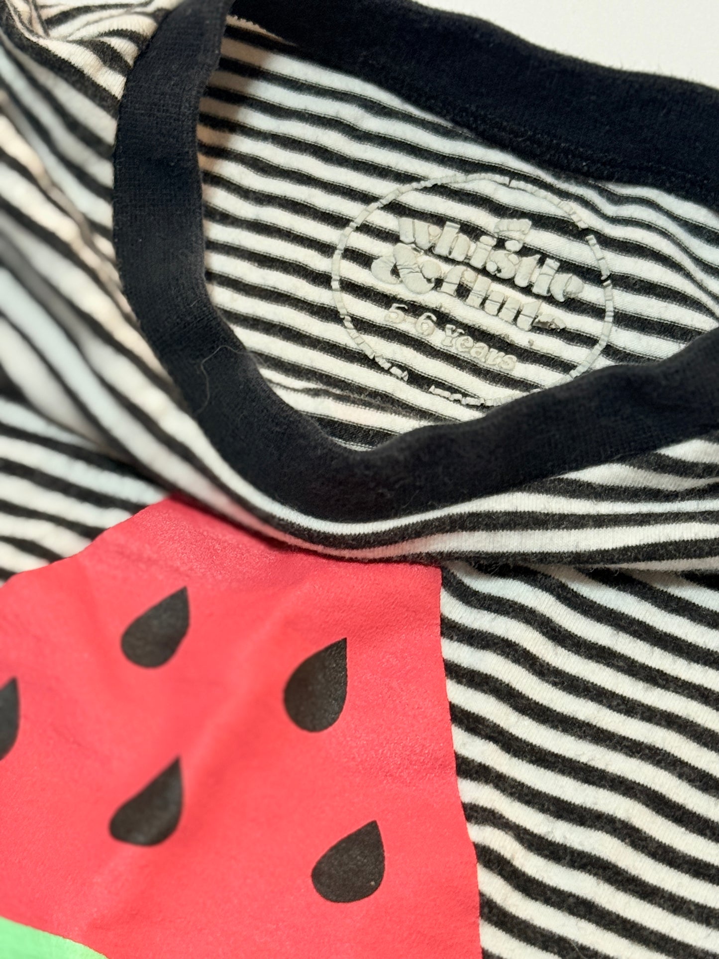 Whistle & Flute 5-6y