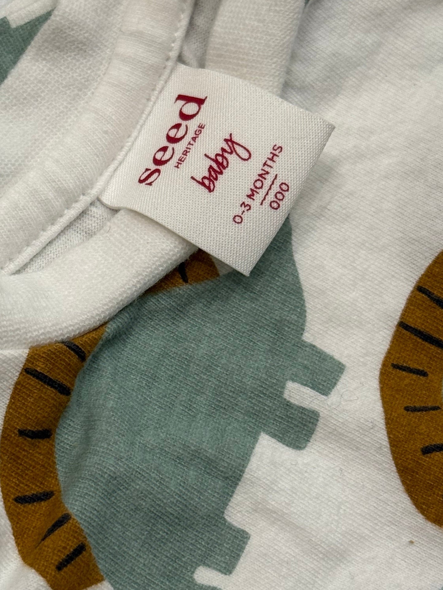 Seed Dinosaur T-shirt 0-3m