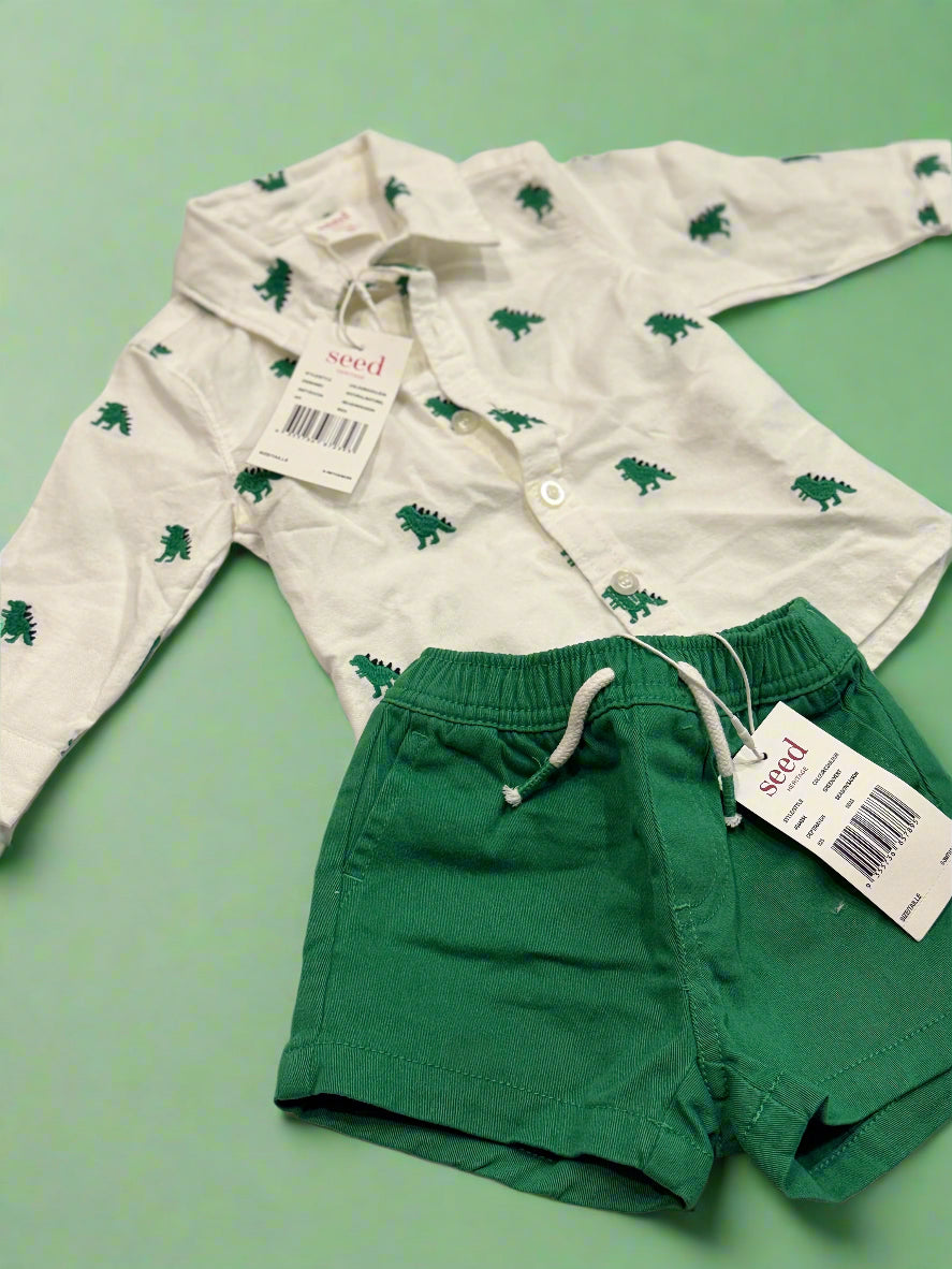 2pc dinosaur button up shirt with shorts