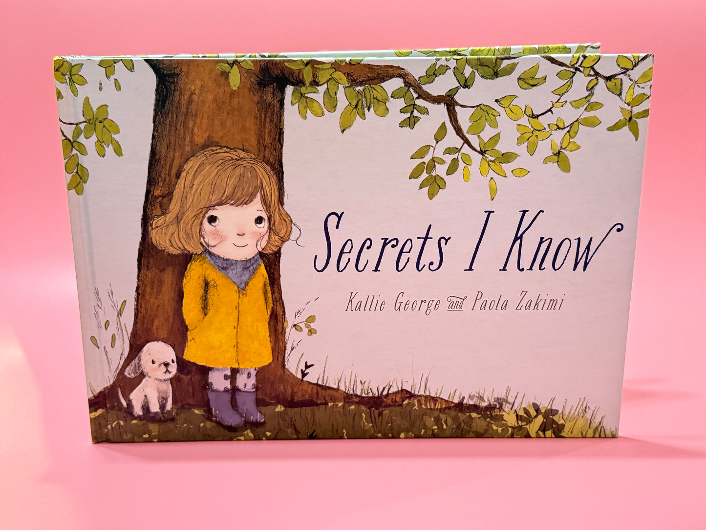 Secrets I Know - Book