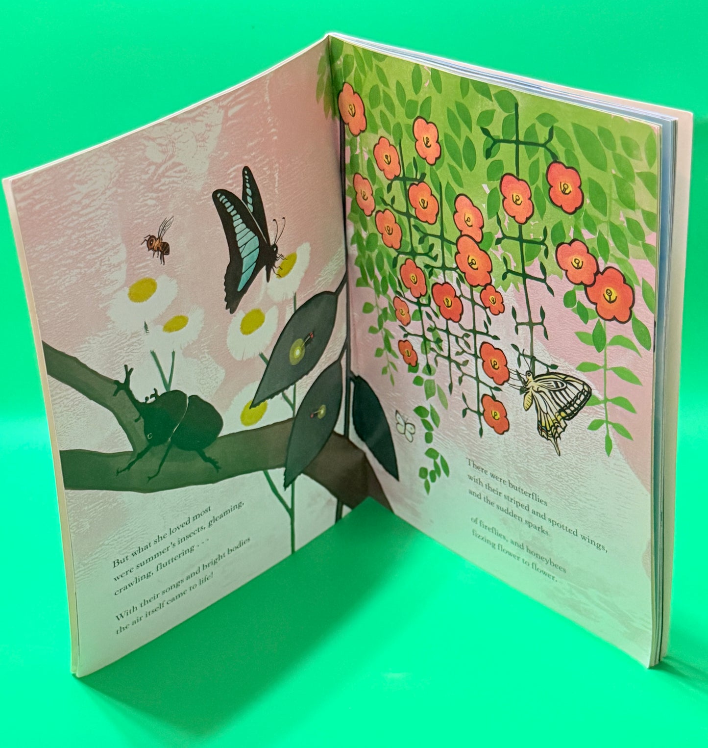 Natsumi's Song of Summer - Book