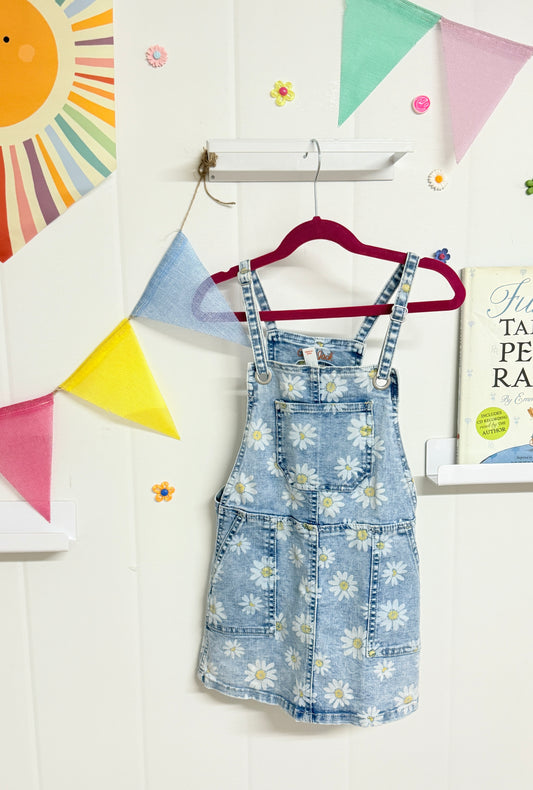 Cat & Jack 4-5y Daisy Skirt overall