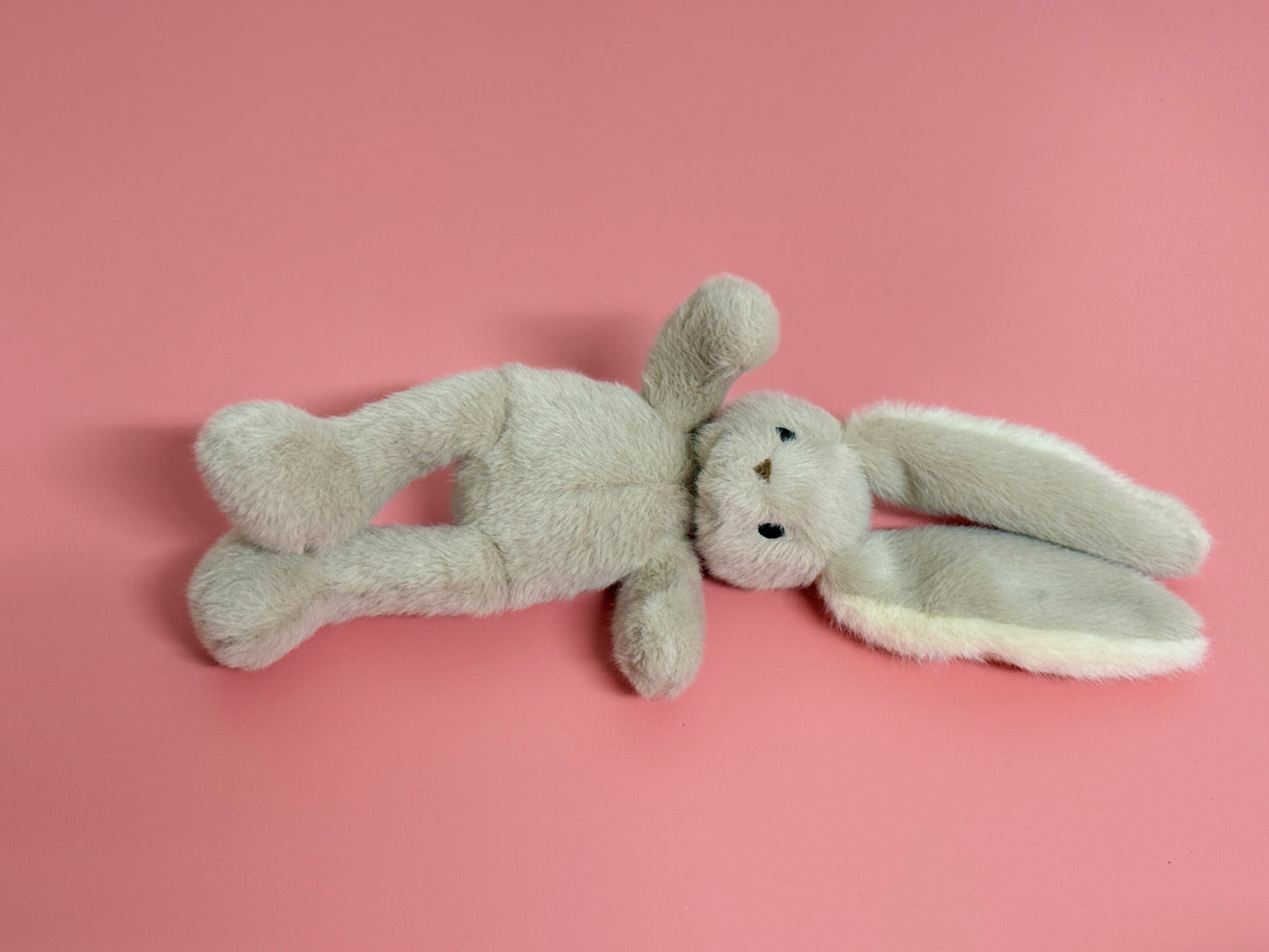 Willow Bunny