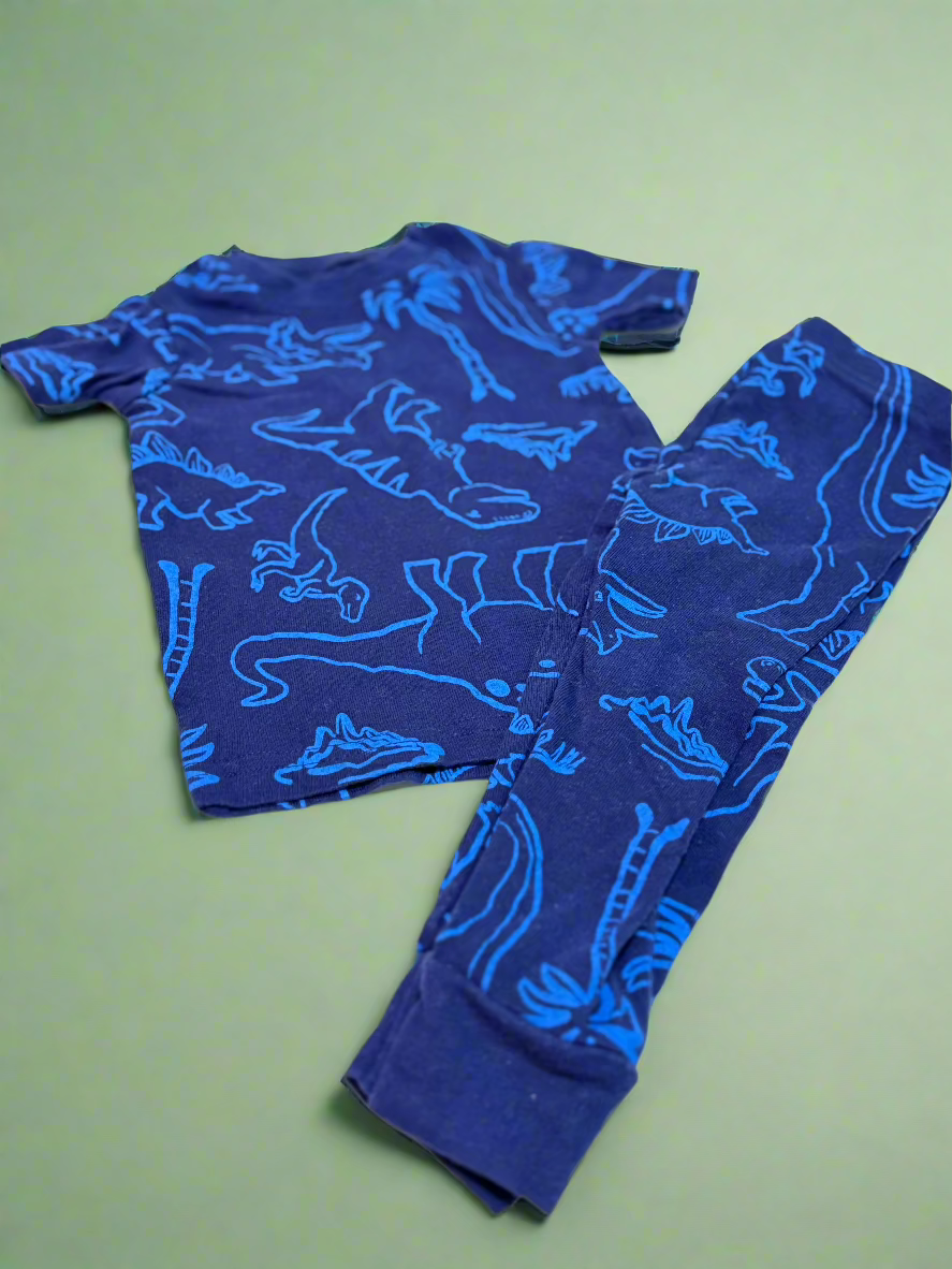 2pc Carters Dino PJ Set 12m