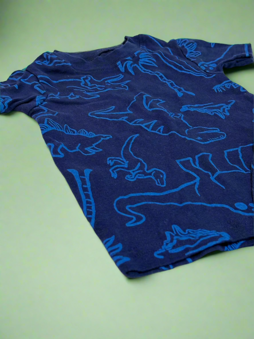 2pc Carters Dino PJ Set 12m