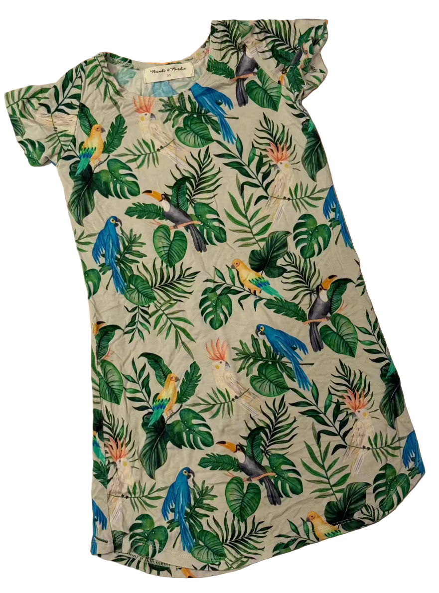 Bambi & Birdie Dress 2/3y
