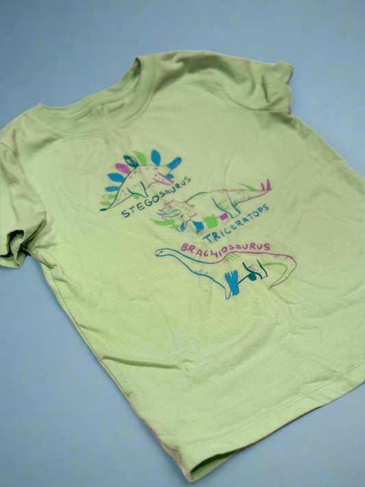 Cat & Jack 4t Dinosaur Shirt