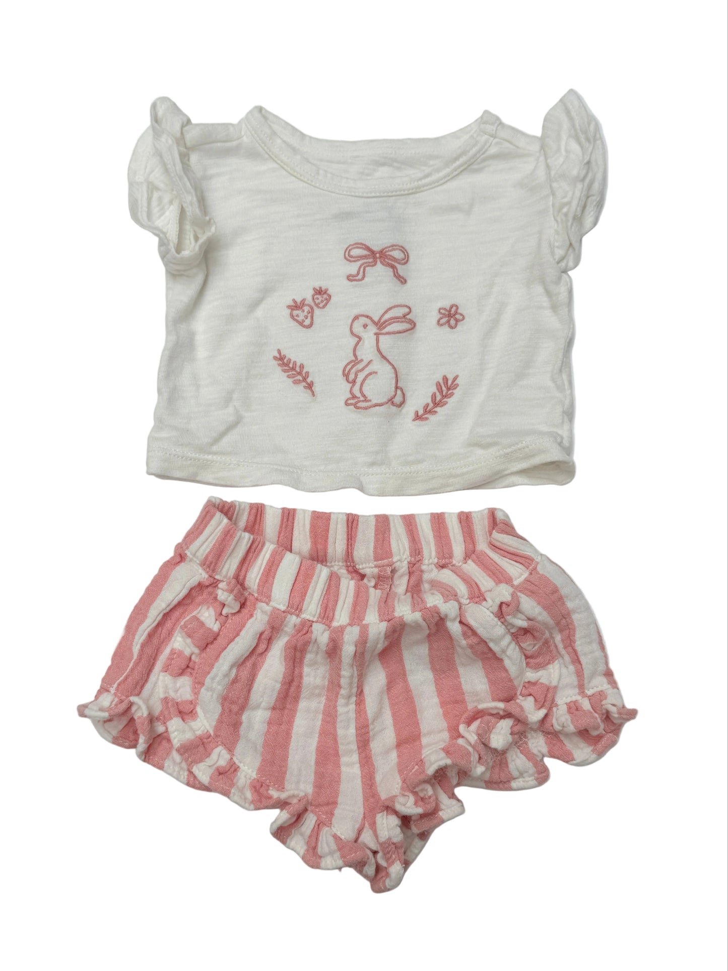 Cloud Island Bunny Embroidered Newborn Set