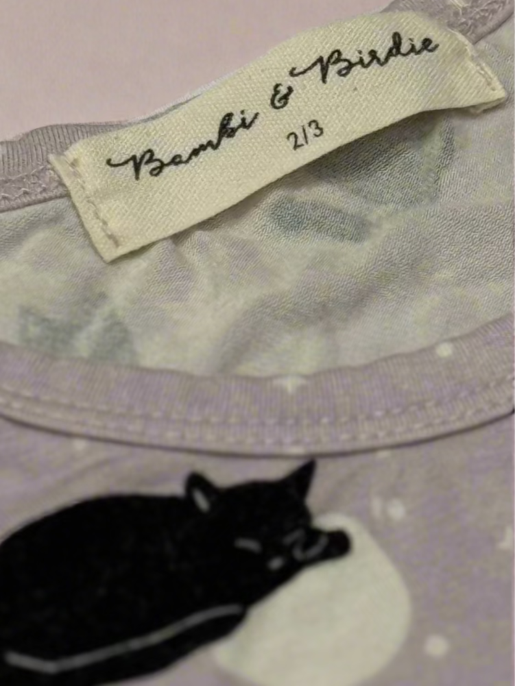Bambi and Birdie Nightgown 2/3t