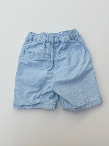The Children's Place Light Blue Shorts 3T