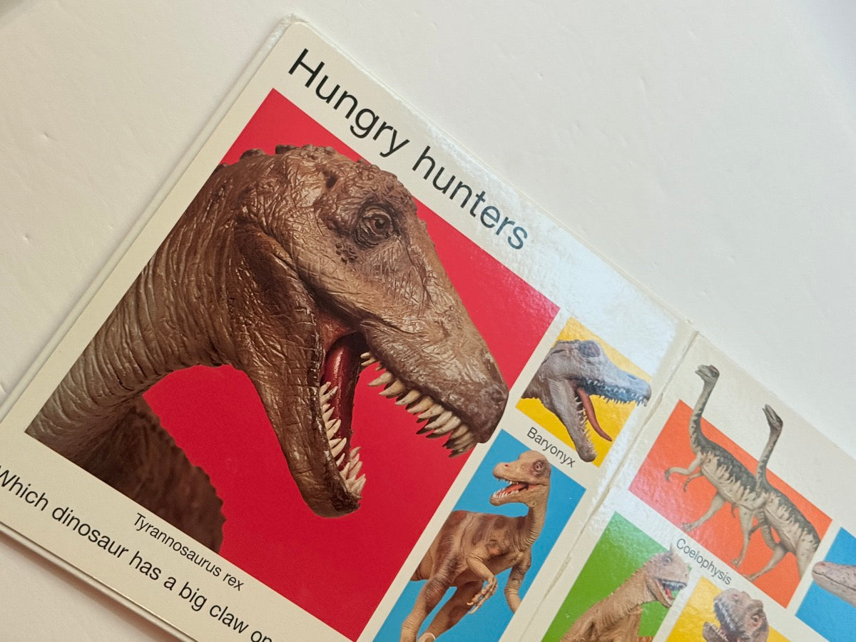 My Big Dinosaur Book Priddy Books