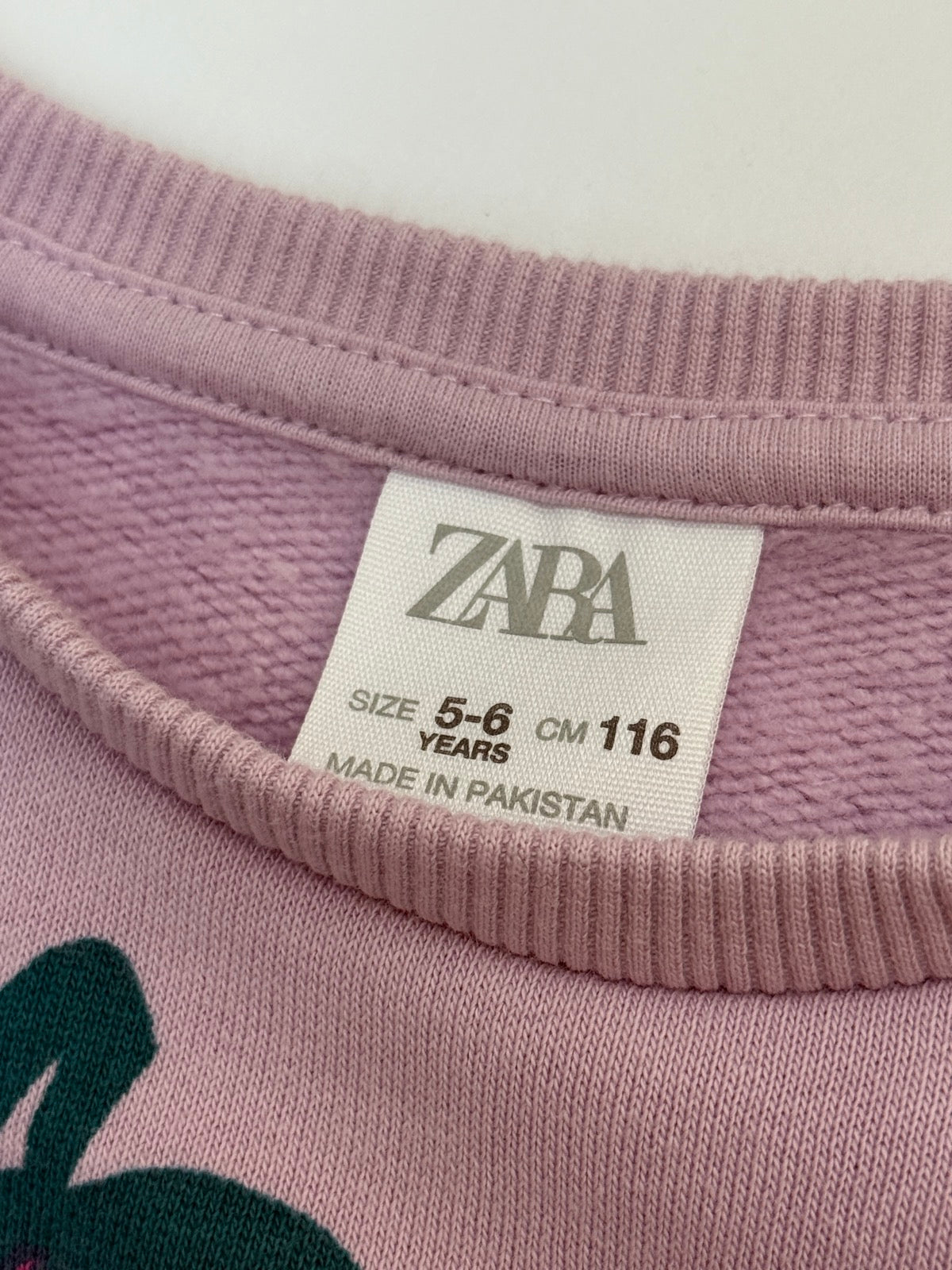Hard to Find -Zara Raspberry Print Sweatshirt Size 5-6Y